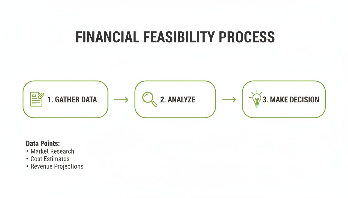 A diagram outlining the three-step Financial Feasibility Process: Gather Data, Analyze, and Make Decision.