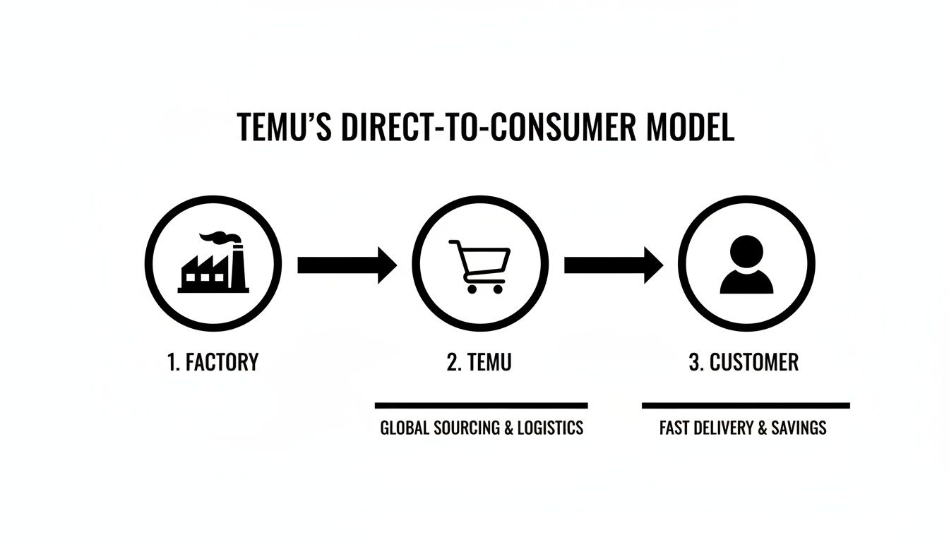 Diagram illustrating Temu's direct-to-consumer model, from factory through Temu's global logistics to the customer.