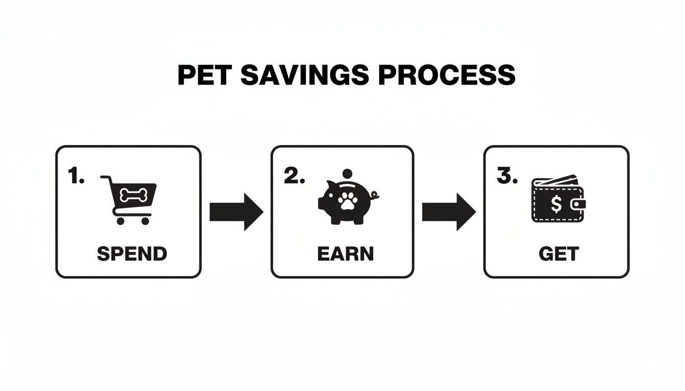 A three-step infographic detailing the pet savings process, including spending, earning, and getting.