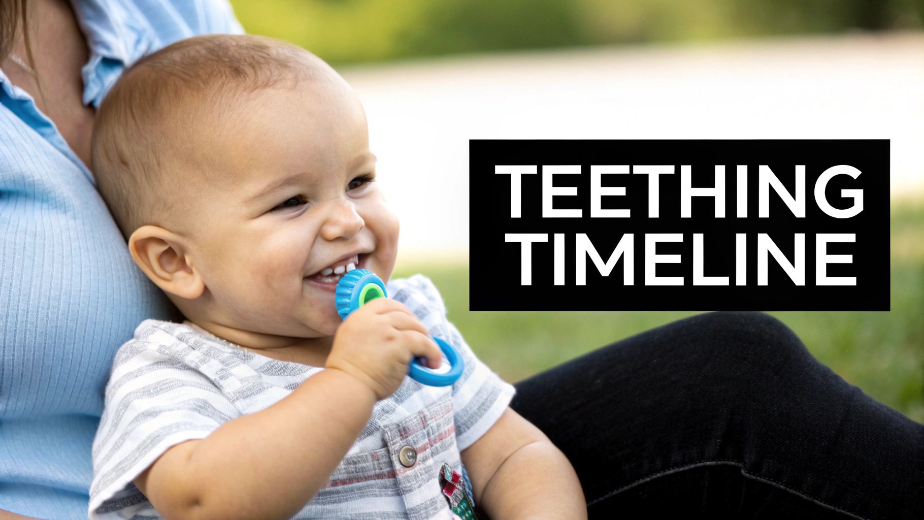 A happy baby in a striped shirt sits on an adult's lap, chewing a teething toy, with "TEETHING TIMELINE" text.