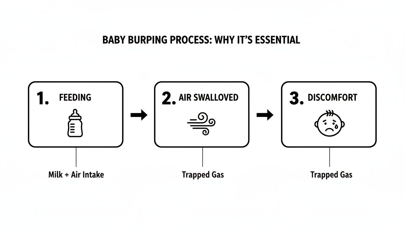 A flowchart showing the baby burping process: feeding, air swallowed, and resulting from trapped gas.