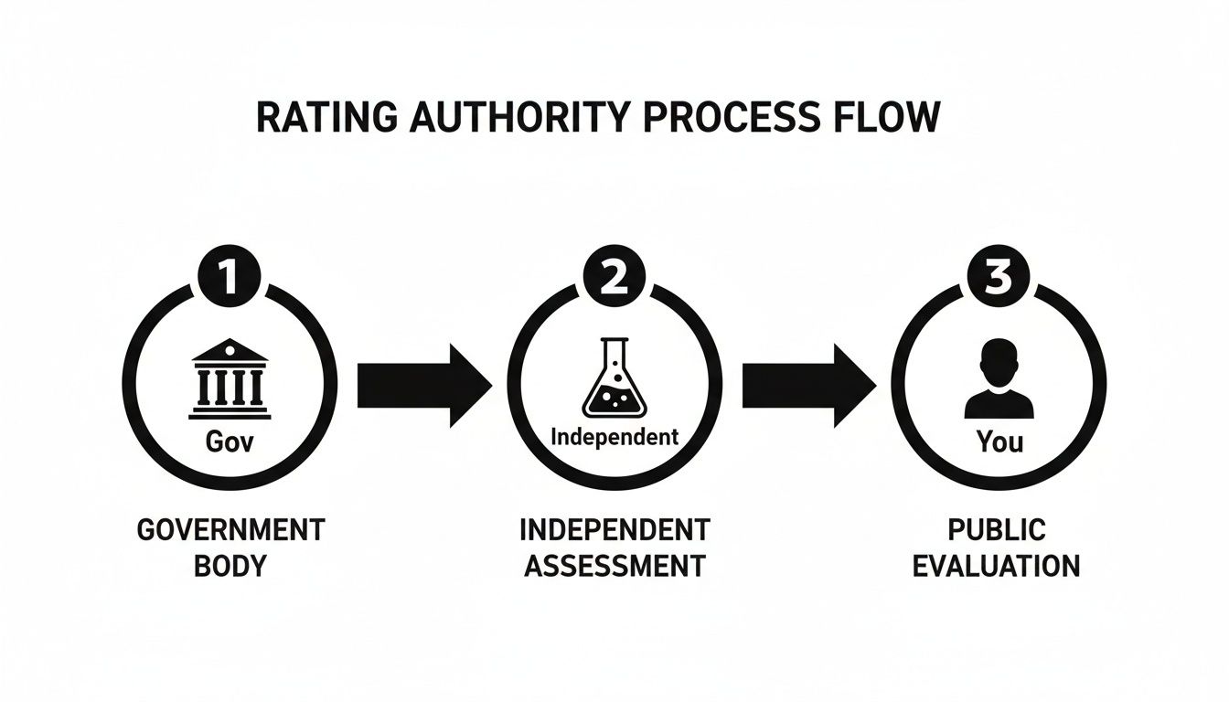 Flowchart showing a three-step rating authority process: Government Body, Independent Assessment, Public Evaluation.