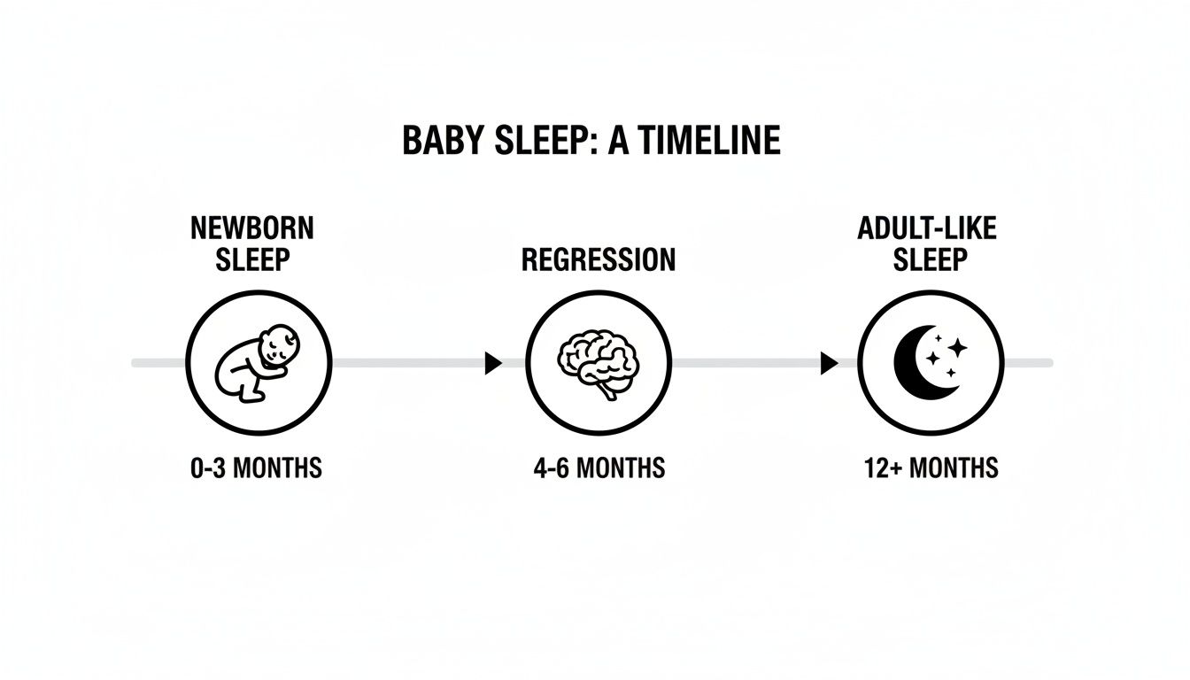 A timeline illustrating baby sleep stages: newborn sleep, regression, and adult-like sleep by age.