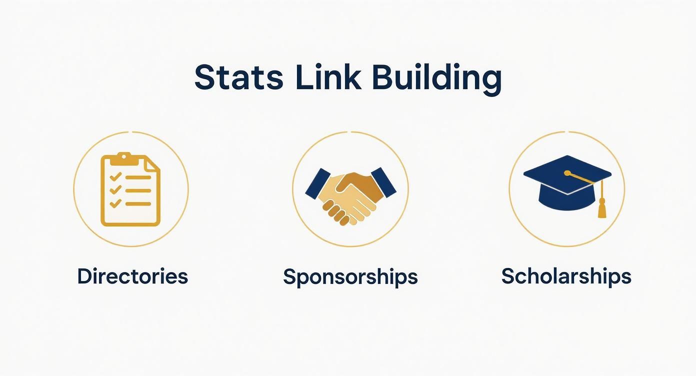 Infographic showing 'Stats Link Building' strategies: Directories, Sponsorships, and Scholarships, each with a relevant icon.