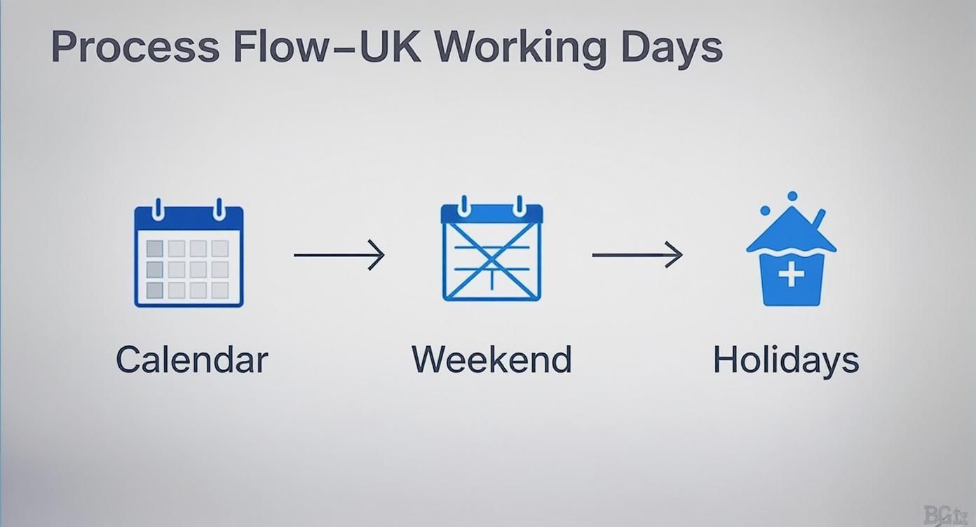 Infographic about how many working days in a year