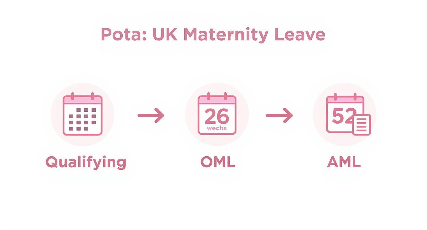 Infographic about maternity leave calculator