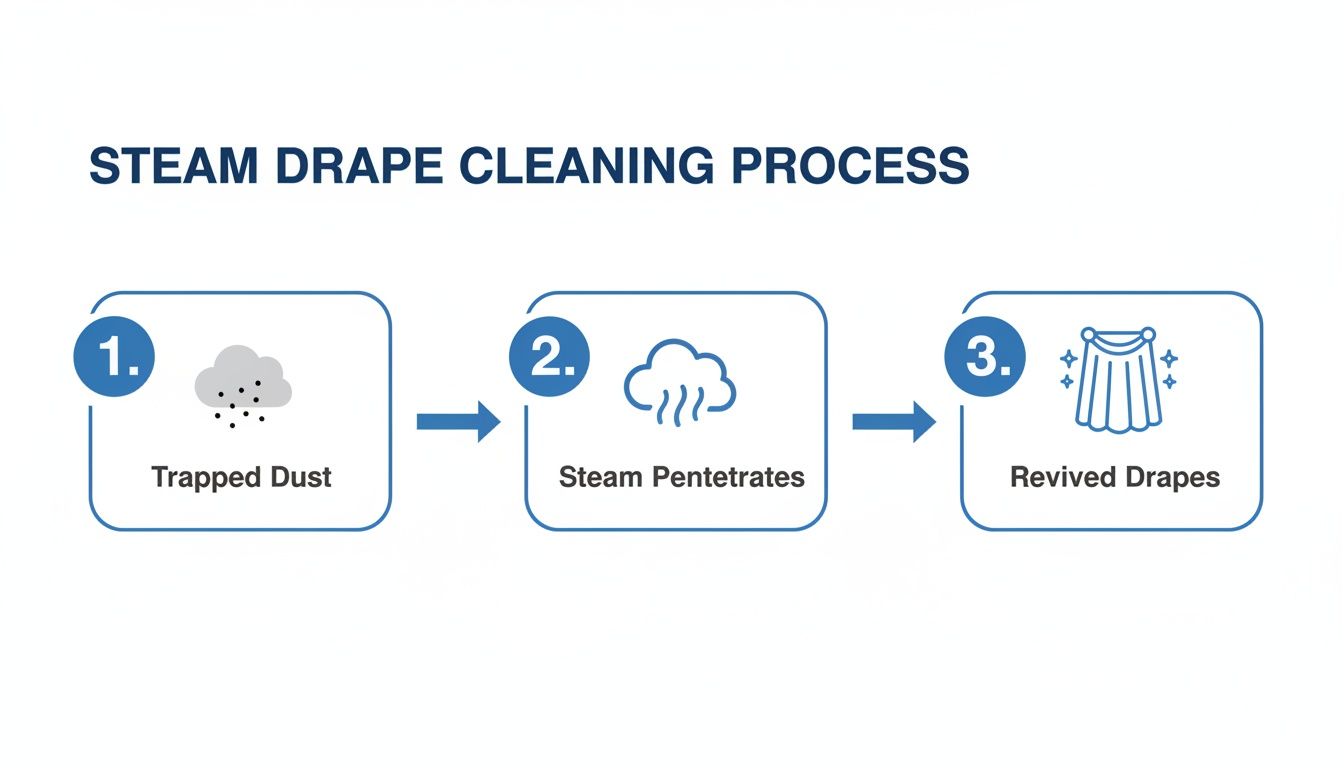 A three-step diagram illustrates the steam drape cleaning process, from trapped dust to revived drapes.
