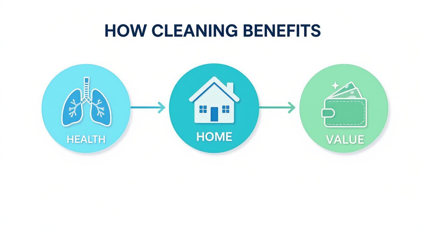 Infographic about benefits of professional carpet cleaning