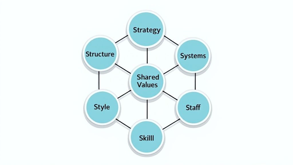 McKinsey 7-S Framework for Change