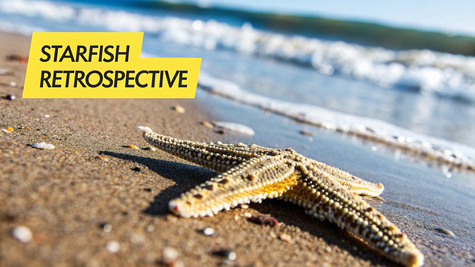 Starfish (Keep, Less, More, Stop, Start)