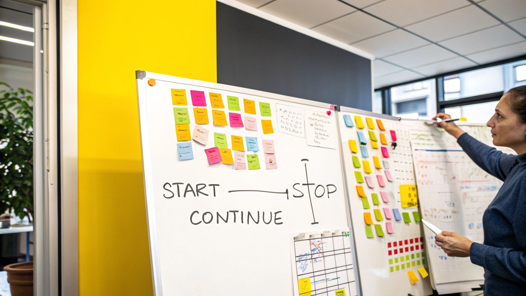 Start, Stop, Continue