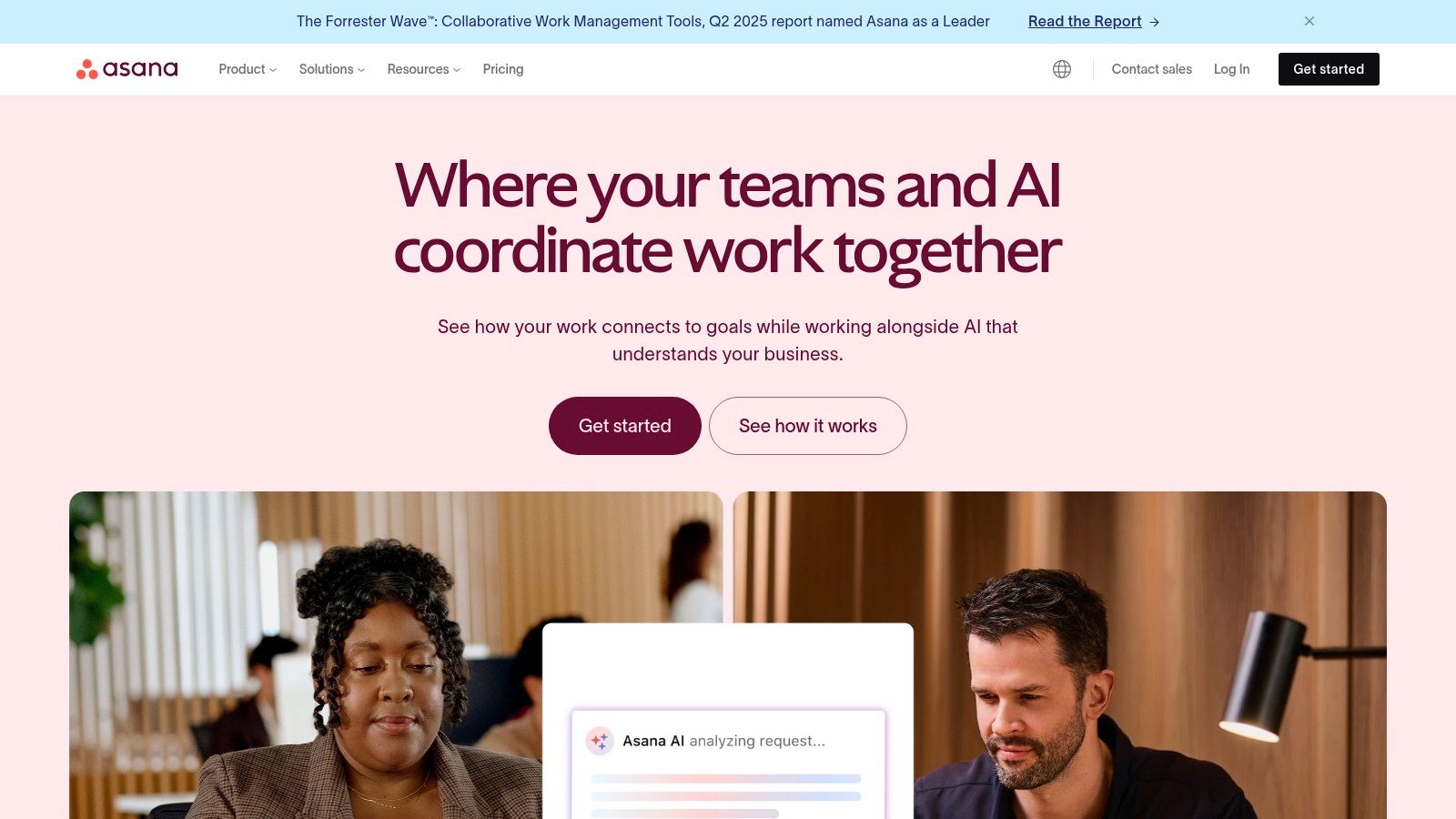 Asana Transition Project Template