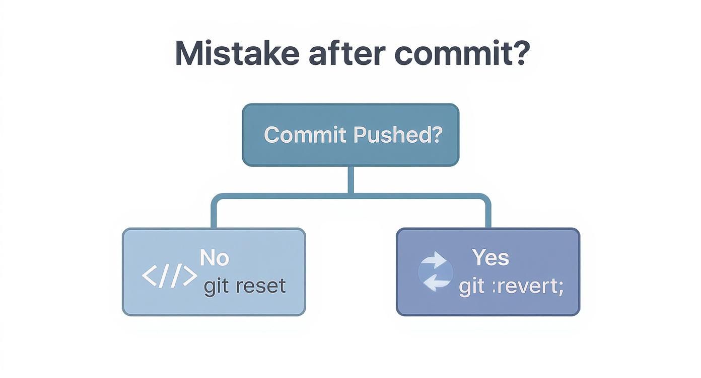 Infographic about git delete last commit