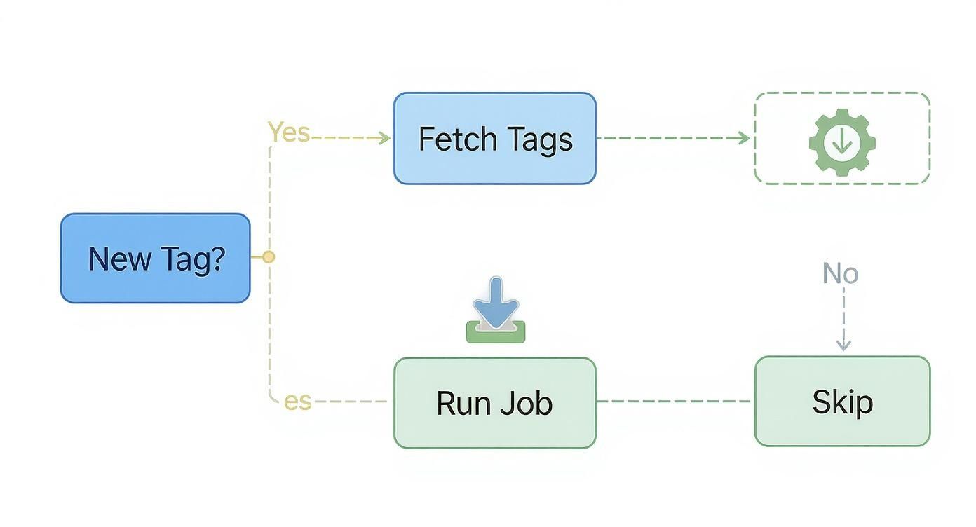 Infographic about git fetch tag