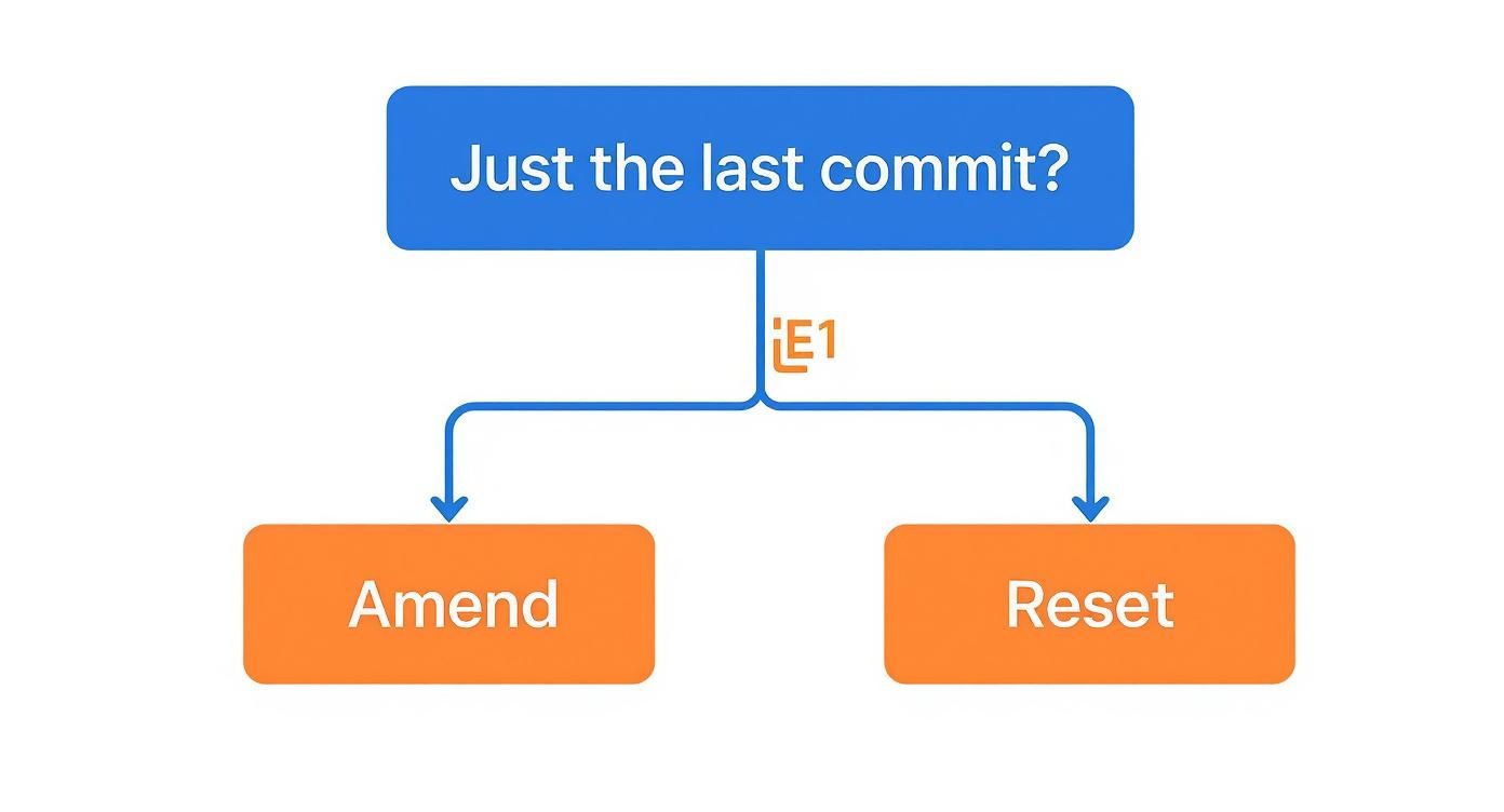 Infographic about git undo commit before push