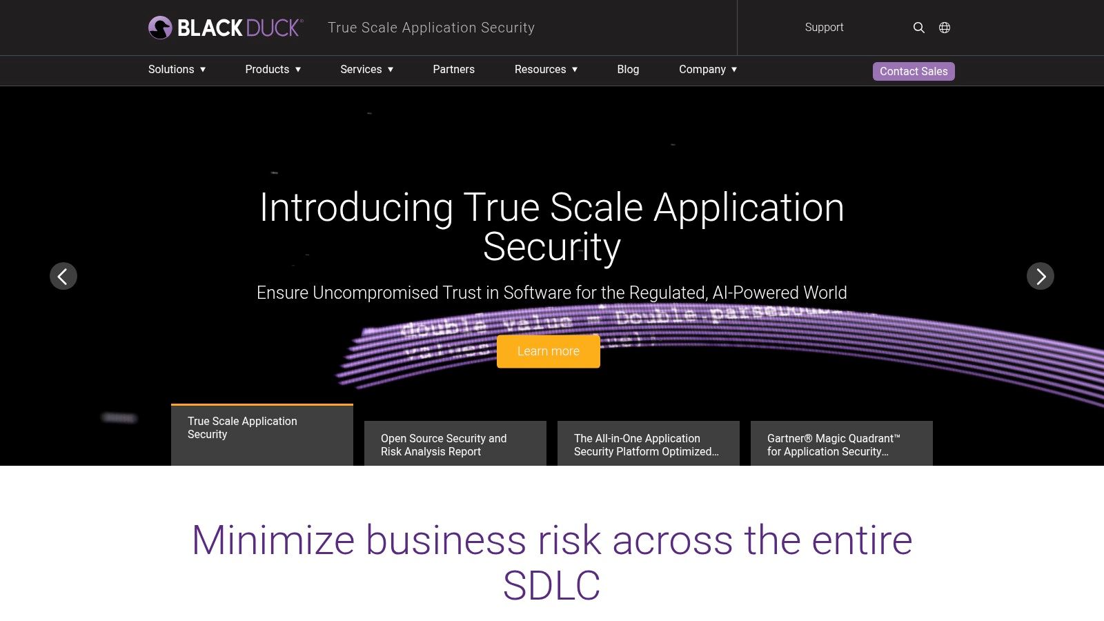 Synopsys (Polaris Platform)