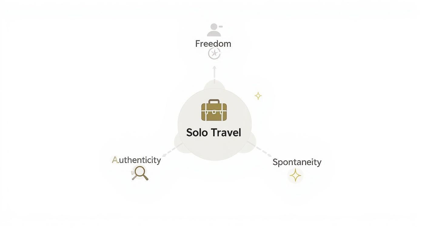 Diagram showing solo travel connecting to freedom, authenticity, and spontaneity with icons