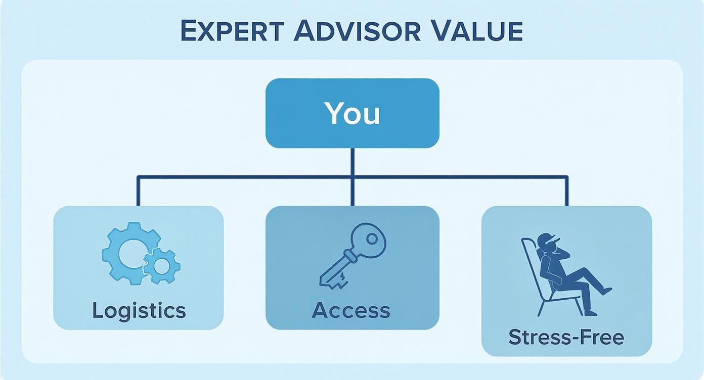 An infographic showing how an expert advisor provides value through managing logistics, granting exclusive access, and ensuring a stress-free travel experience.