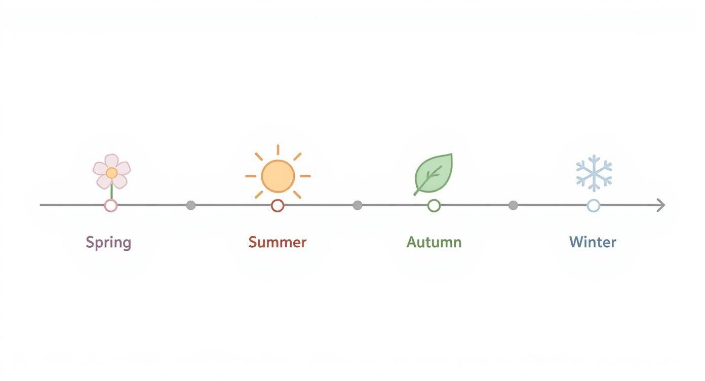 Infographic about best time to visit portugal