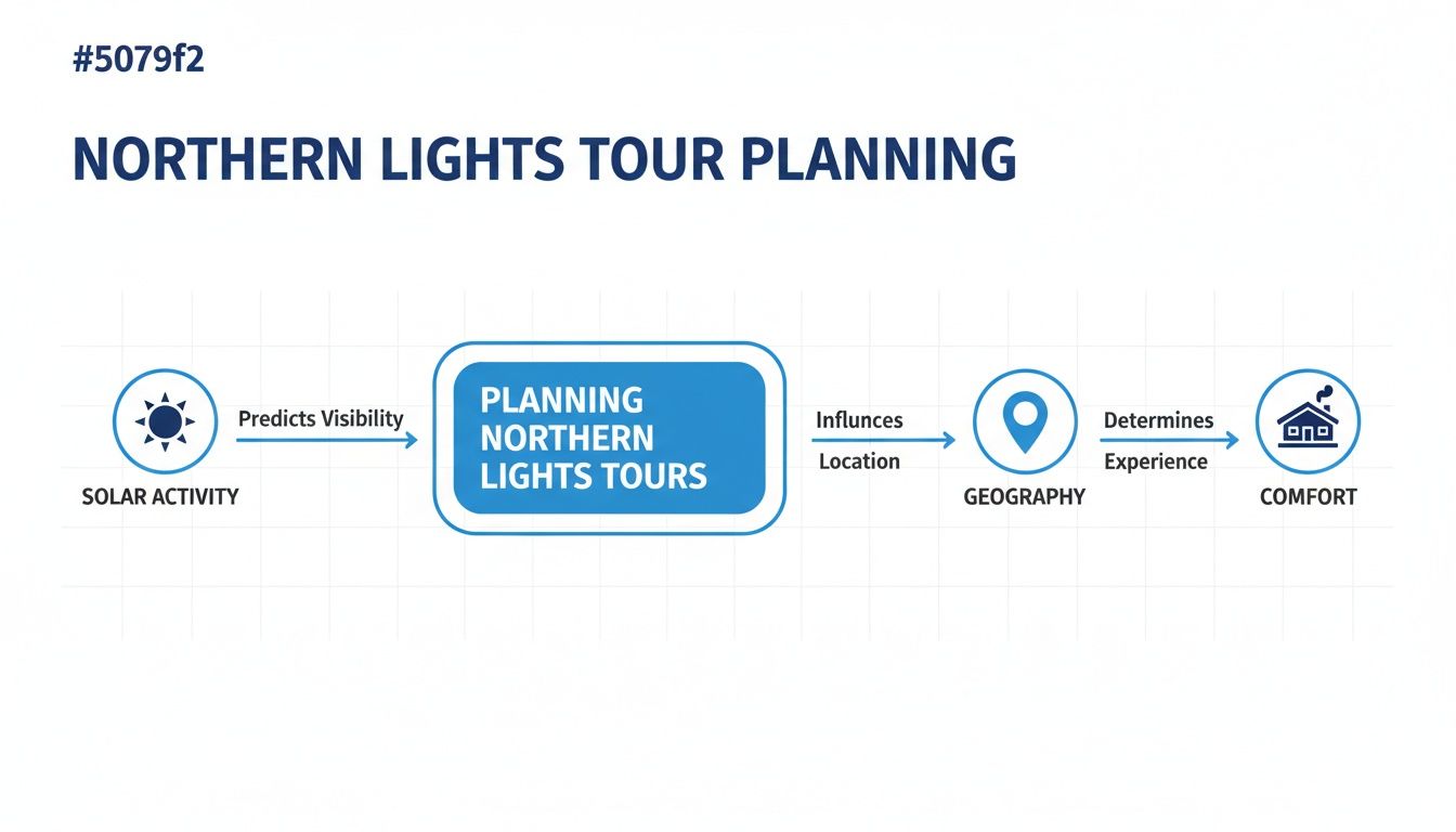 A flowchart showing the planning process for Northern Lights tours, linking solar activity to comfort.