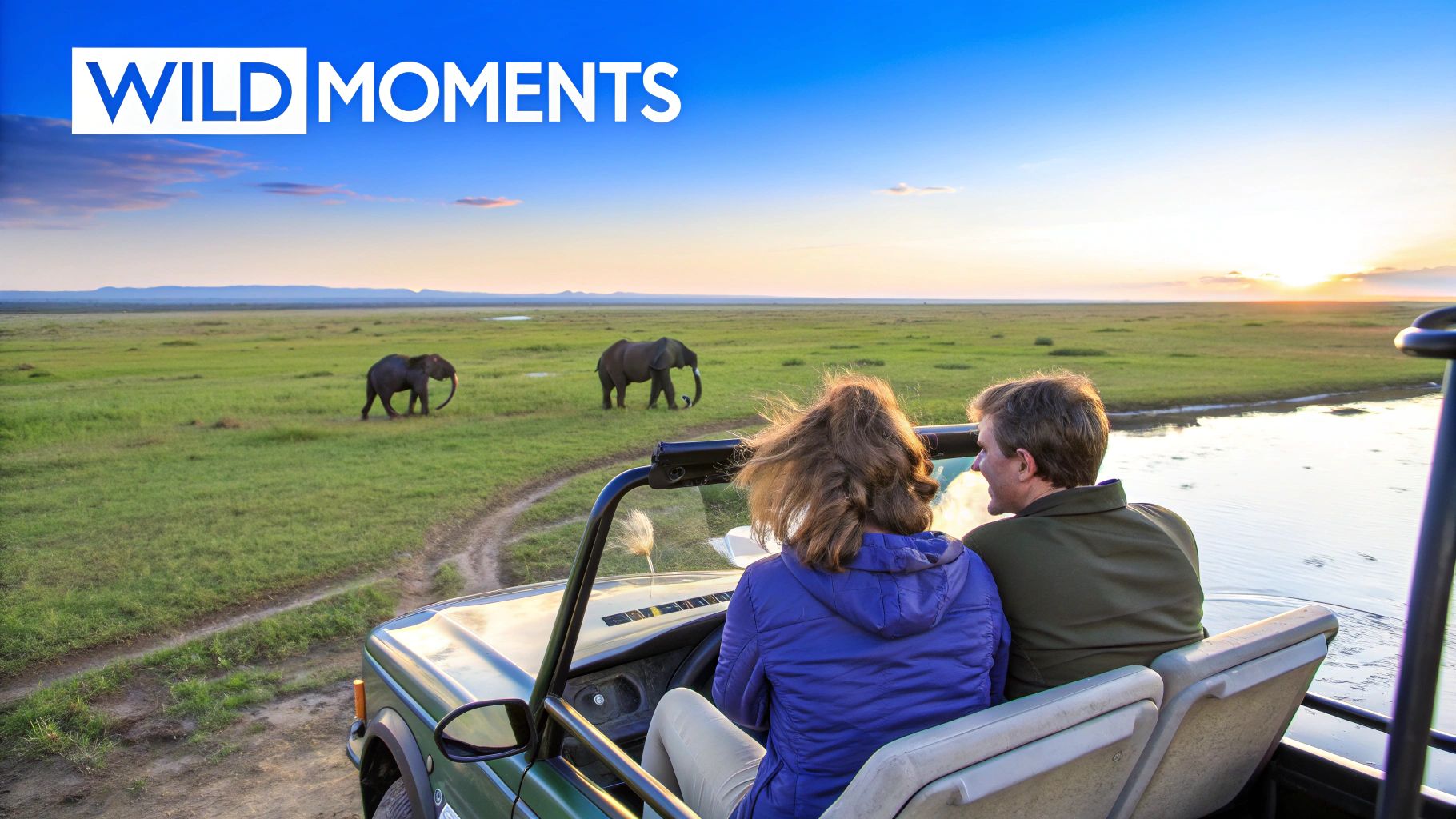 A couple on a safari adventure in a jeep watching elephants in a vast landscape at sunset.