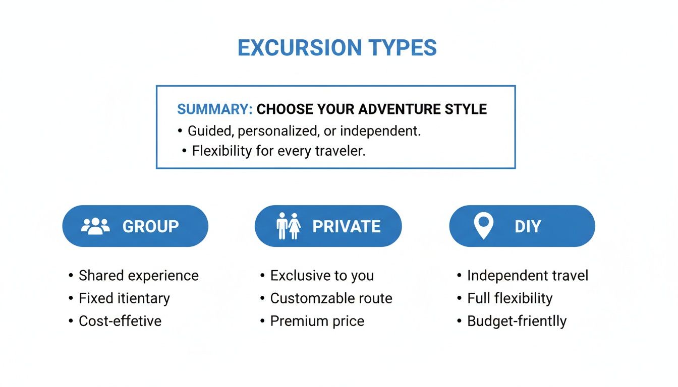 Infographic detailing different excursion types: Group, Private, and DIY, with their respective benefits and characteristics.