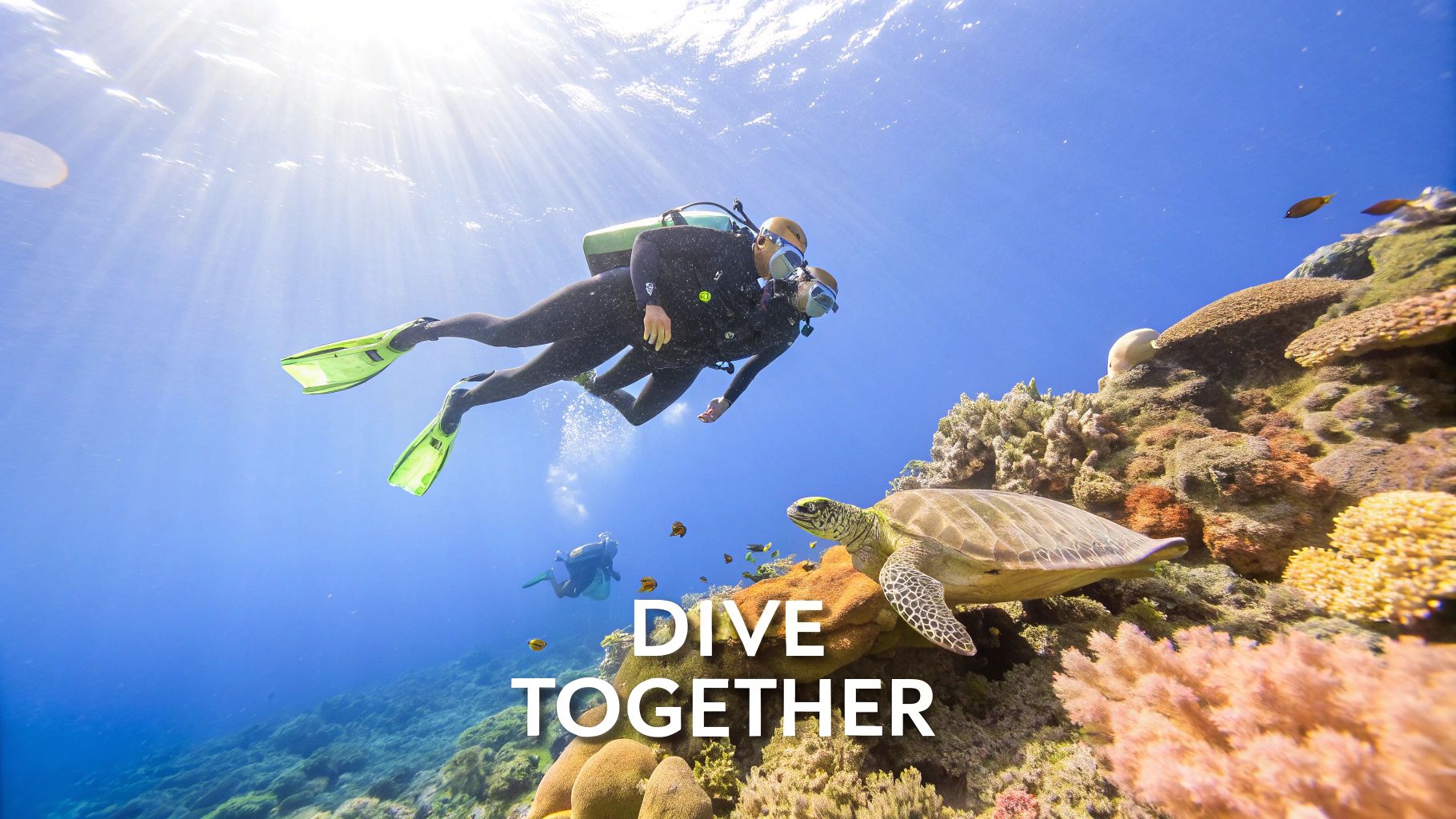 Two scuba divers swim alongside a sea turtle on a vibrant coral reef under clear blue water.