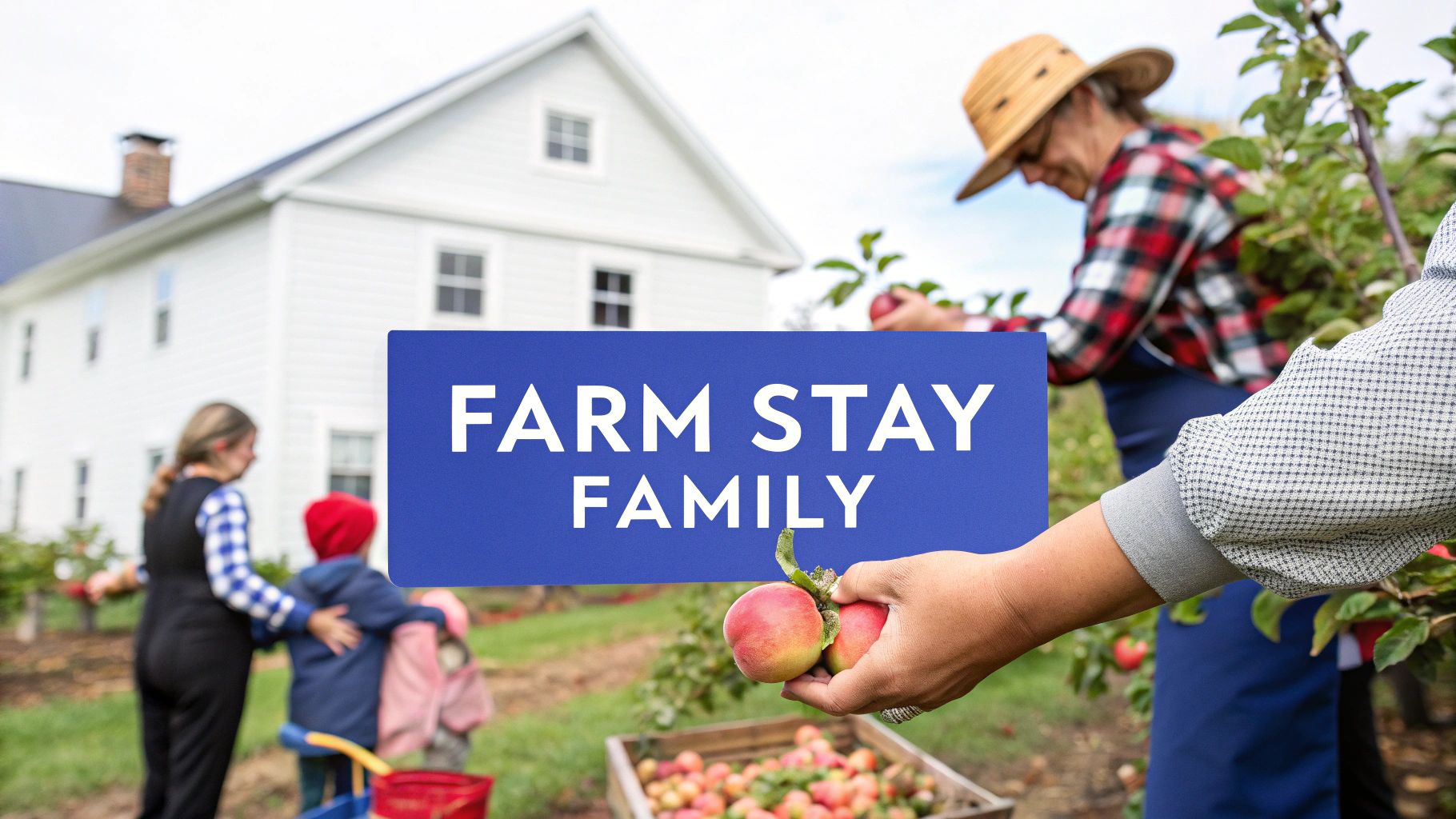 Agritourism and Farm Stays