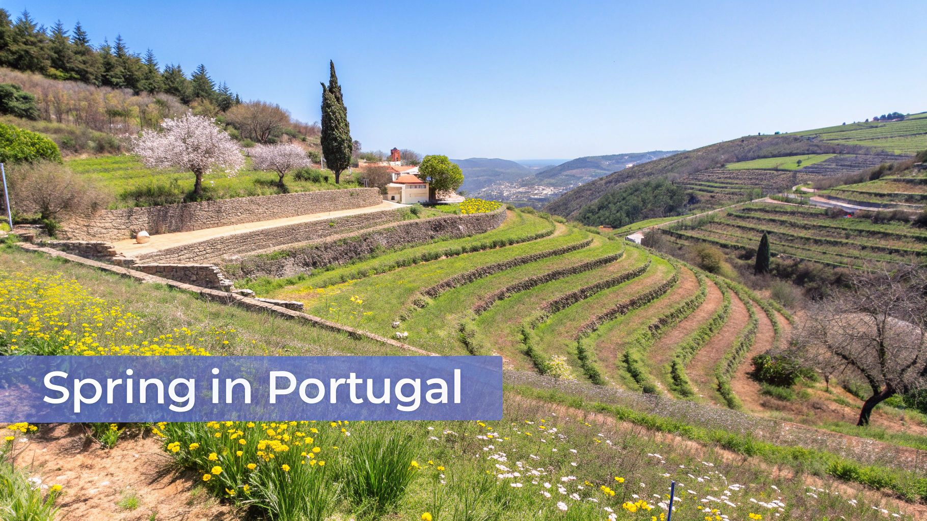 A lush green valley in Portugal during spring with blooming flowers
