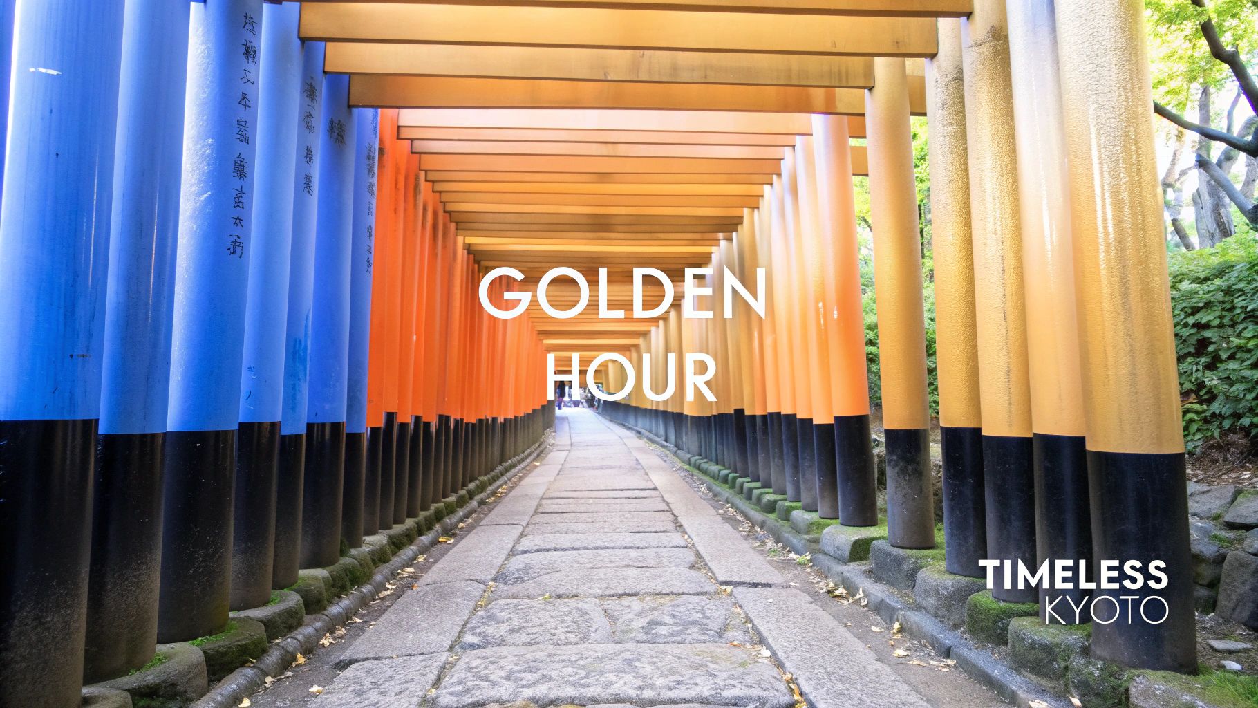 A scenic path lined with vibrant orange and yellow Japanese torii gates, featuring text overlays 'Golden Hour' and 'Timeless Kyoto'.
