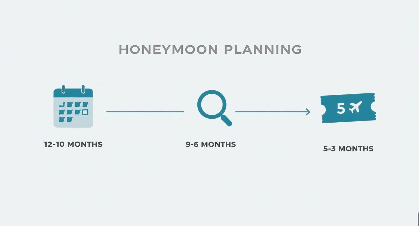 Infographic about how to plan a honeymoon