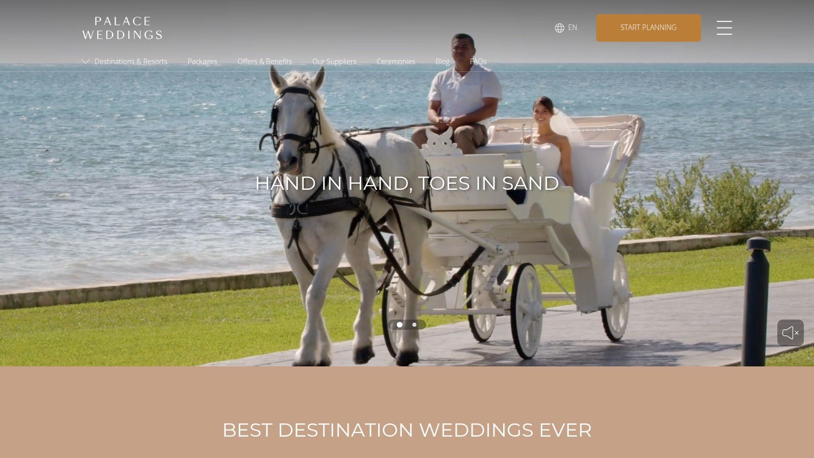 A bride and groom in a horse-drawn carriage at a Palace Resorts wedding.