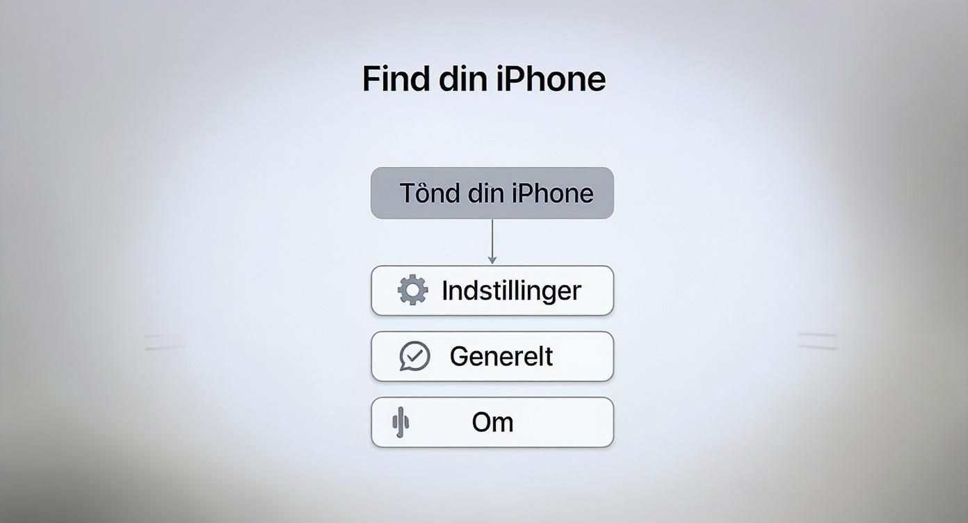 Infographic about hvilken iphone har jeg