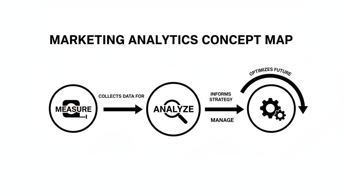 A marketing analytics concept map illustrating the process of measuring, analyzing data, and managing strategies to optimize future outcomes.