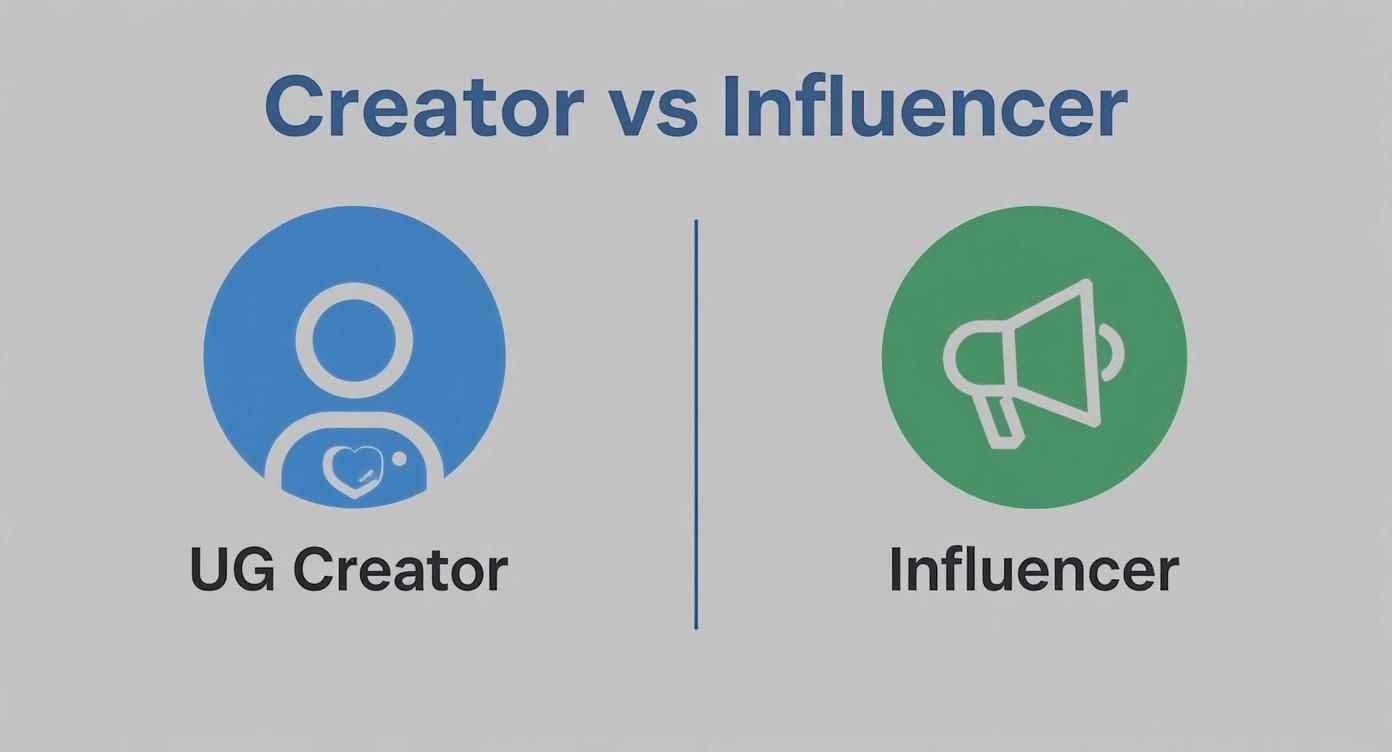 Infographic comparing a UGC creator holding a camera to an influencer holding a megaphone, illustrating their different roles.