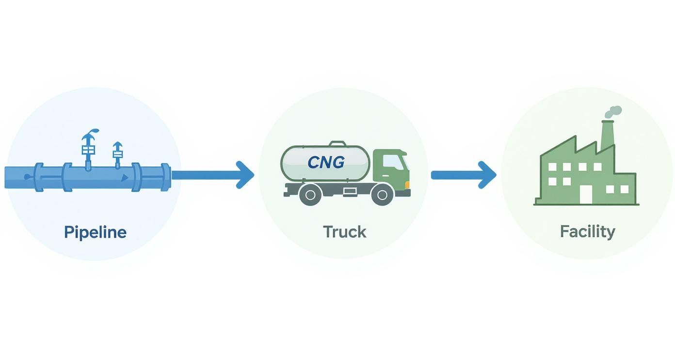 Diagram showing natural gas transported by pipeline, then compressed into CNG for truck delivery to a facility.