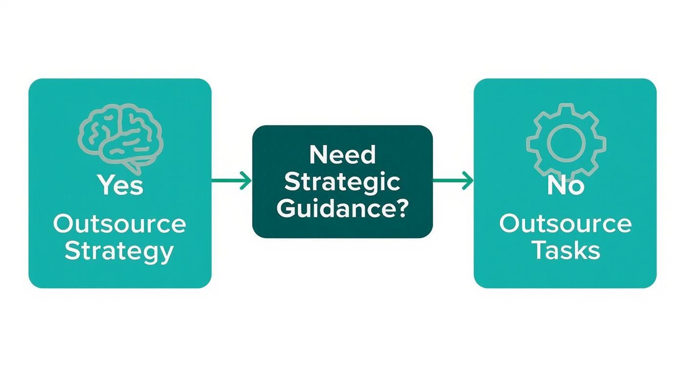 Infographic about outsource marketing services