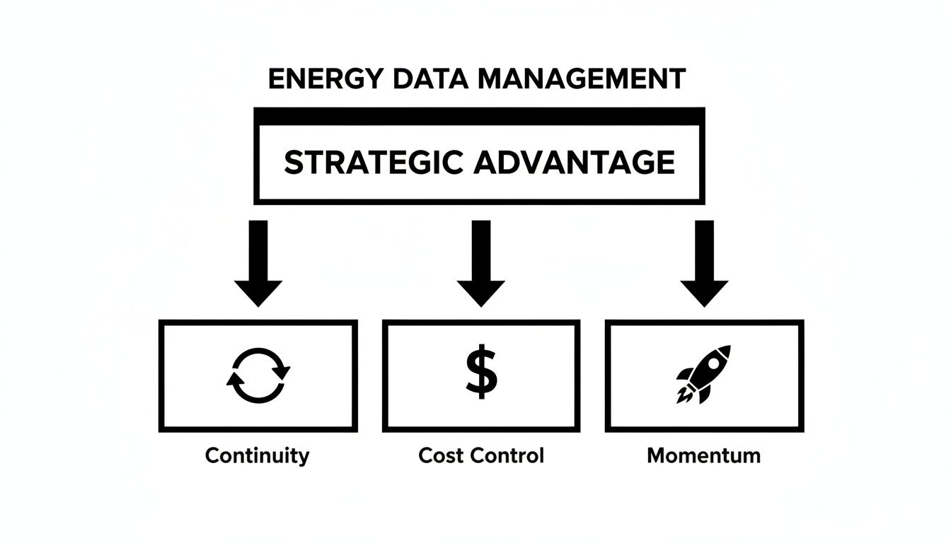 Diagram illustrating Energy Data Management leading to Strategic Advantage, resulting in Continuity, Cost Control, and Momentum.
