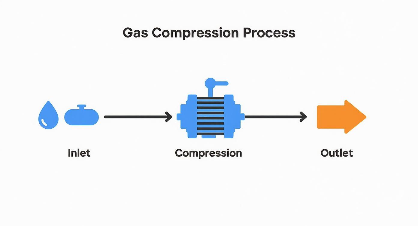 Infographic about gas compression package