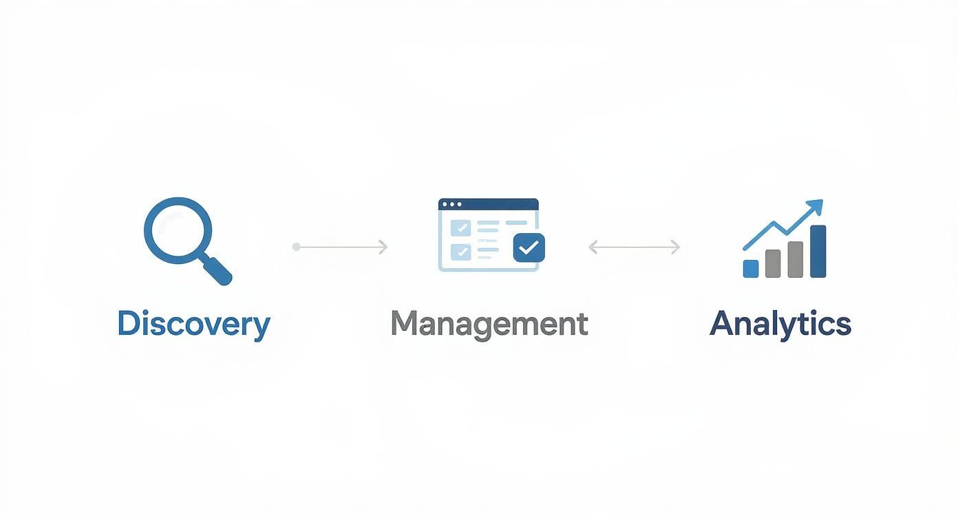 Three-step workflow diagram showing discovery, management, and analytics process with icons and arrows