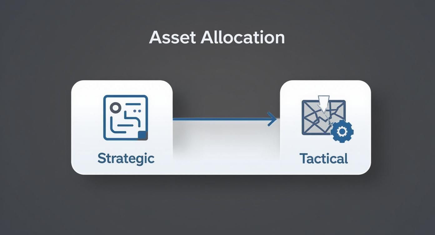 Infographic about what is tactical asset allocation