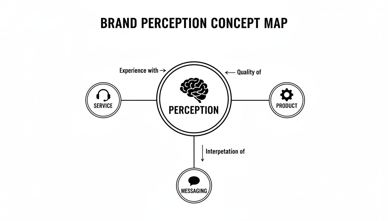 A brand perception concept map showing how service, product quality, and messaging influence overall perception.