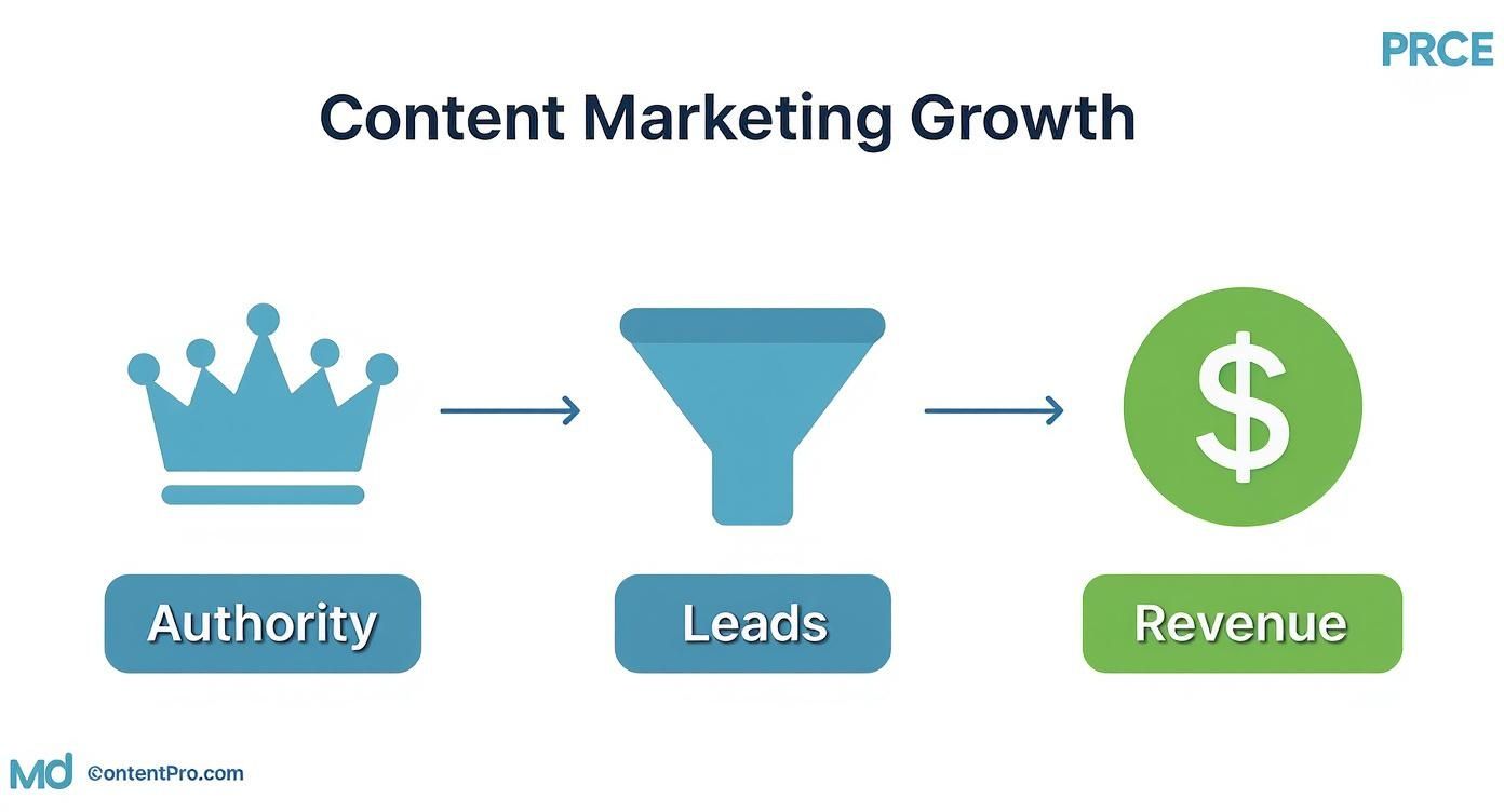 Infographic about content marketing for business growth