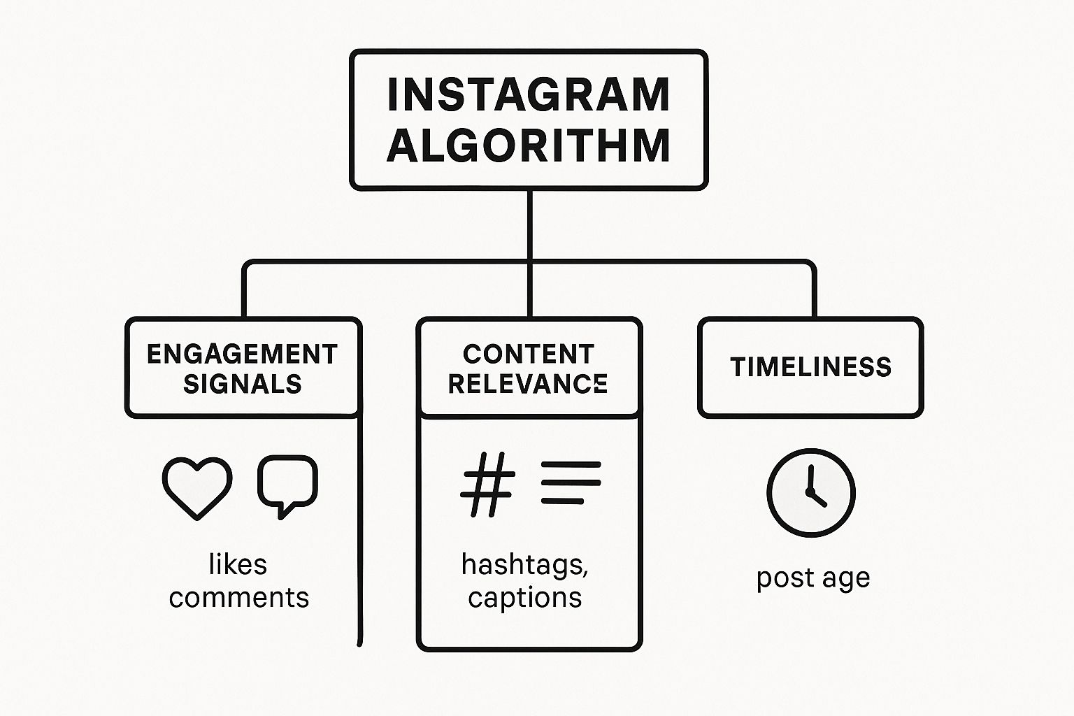 Infographic about how does the instagram algorithm work