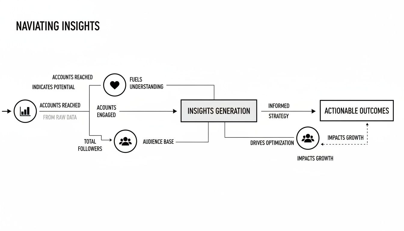 Flowchart illustrating the process of navigating data from raw sources to actionable outcomes and growth.