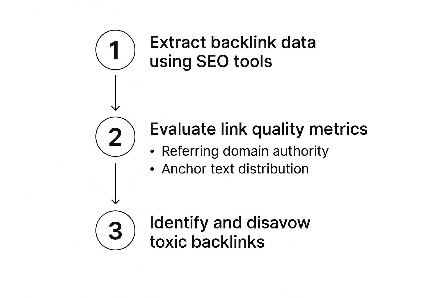 Infographic about how to do seo audit
