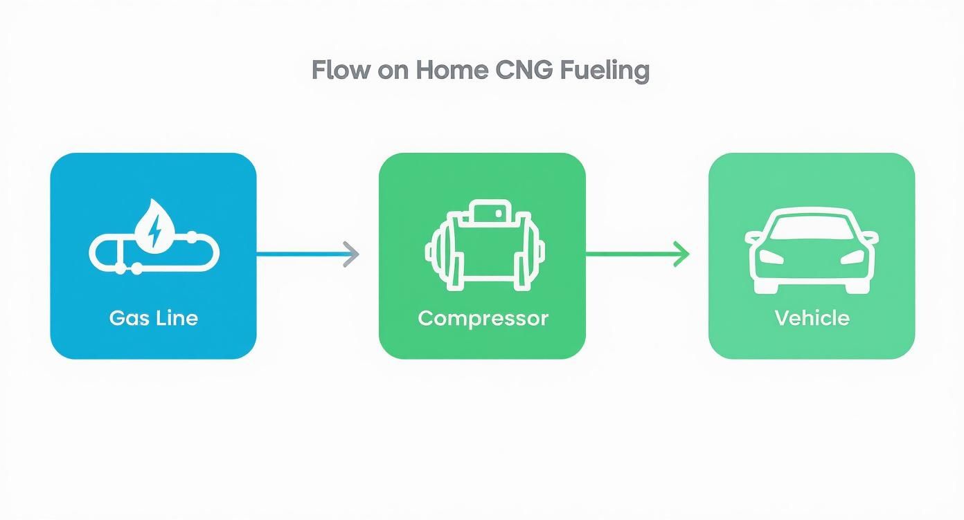 Diagram showing home CNG fueling process from gas line through compressor to vehicle