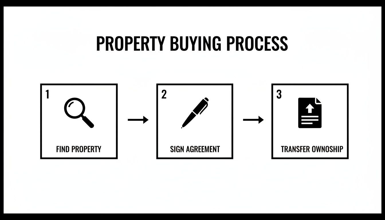 A flowchart detailing the three steps of the property buying process: find property, sign agreement, and transfer ownership.
