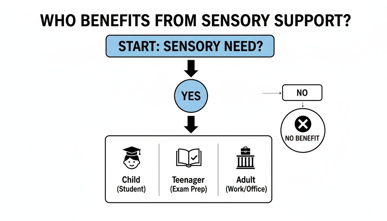 Flowchart detailing that children, teenagers, and adults with sensory needs benefit from sensory support.