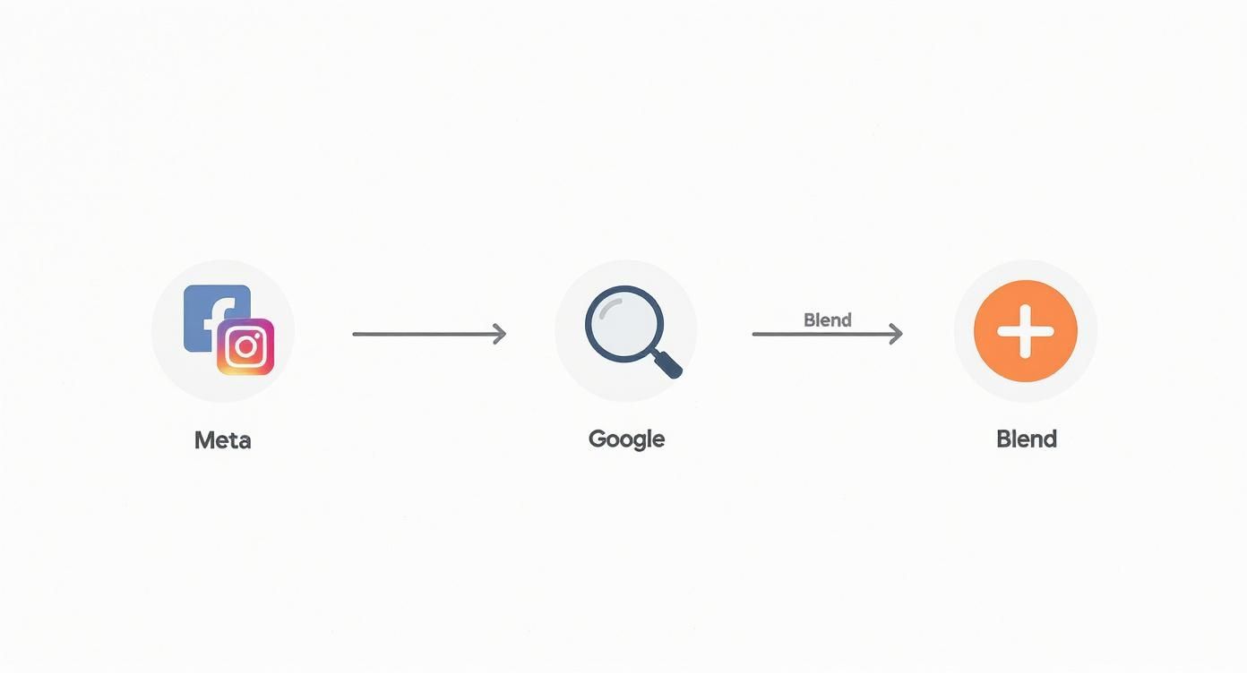 Infographic about social media advertising sydney